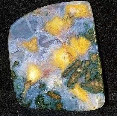 这些万年石头里都藏着一幅画，神奇到你难以置信！！