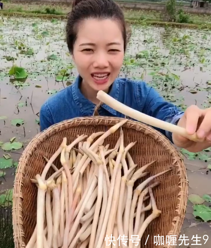 农民种植的“它”，亩产两千斤，每斤10元，比种农作物强多了！