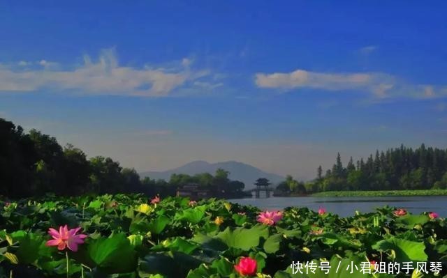 风景区春节关闭情况