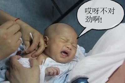 爆笑时刻:骗子以假疫苗事件对父母进行短信诈骗，熊孩子神回复!