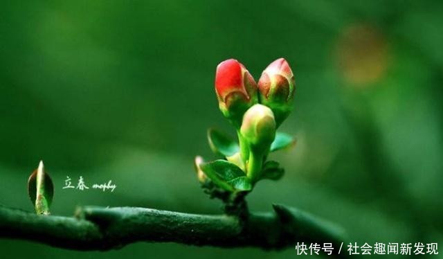  「道理」俗语“百年难遇闰九月，百年难逢岁交春”，什么意思，