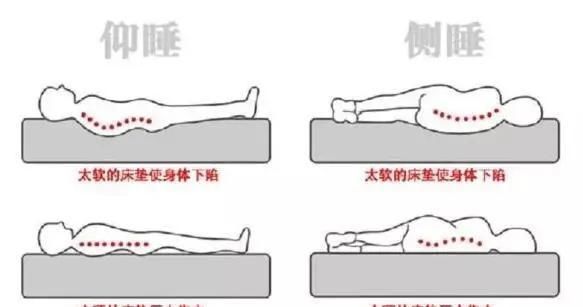  枕头■早起叠被子不是好习惯？换床睡不着？您需要知道这些床上知识！