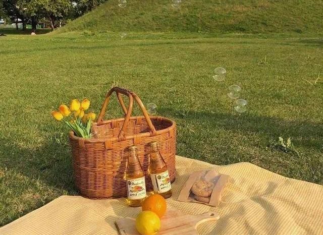 居家■居家野餐指南,在家也能享受春光