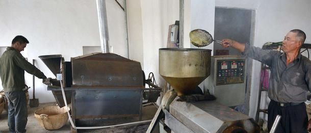  「这样吃」农村自榨油被说不干净，农民表态：城里人真矫情，老