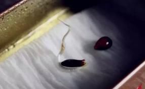 计划■【云种植】春暖花开,你还欠孩子一个春天计划~