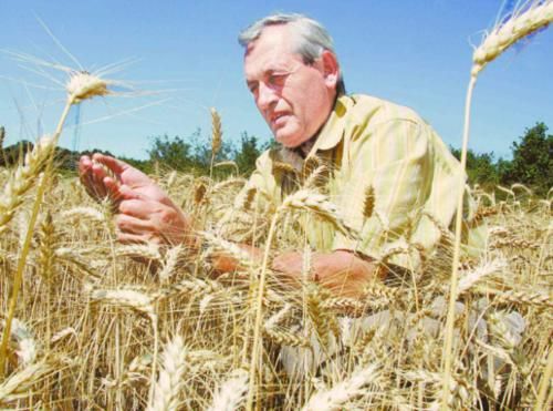 欧洲人饱受高温困扰，中国制造成最大赢家，当地人：命是它给的