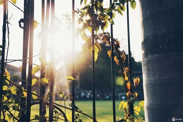 我的2018追寻四季，走走停停