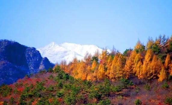 很多人还不知道，京西有个“百花山下第一村”，简直美的不行