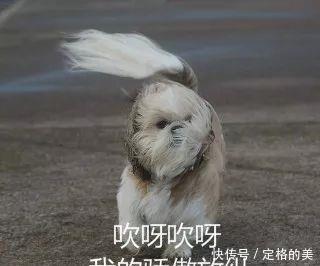  跳楼■寒潮 暴雪预警！气温跳楼大甩卖 9省区降温超10℃ ！