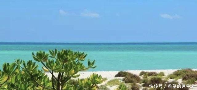  #岛礁#明明是海底珊瑚建的人工岛礁，美济礁却绿树成荫，这是如