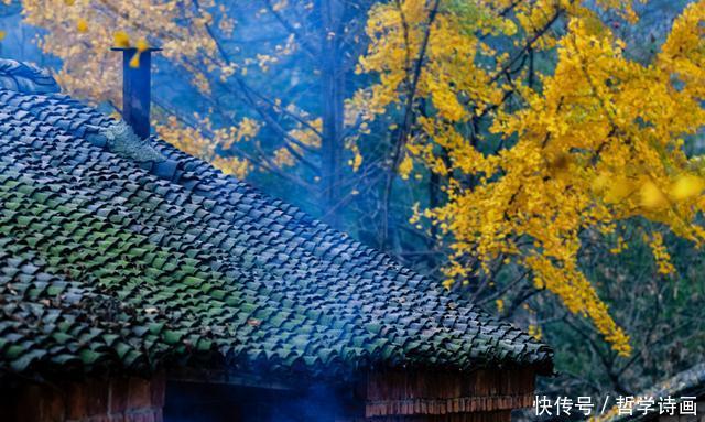 农村现状揭示：陶渊明式的田园生活没有了，有的只是劳累和贫瘠！