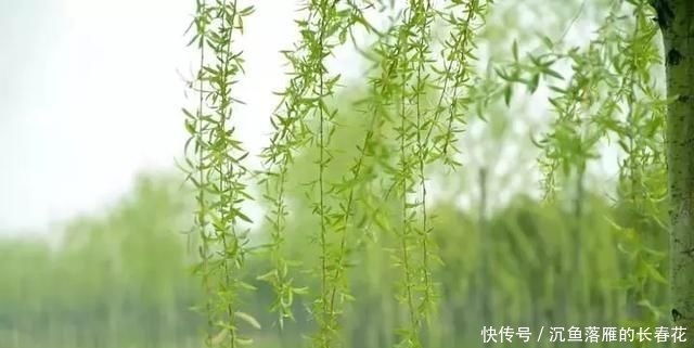 芝麻酱糖饼@北京必吃的19种美食!都吃过的才是地道北京人~