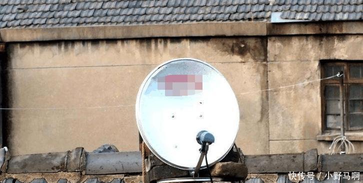 卫星锅被要求限期拆除, 村干部上门检查, 农民不解 为啥一定要拆