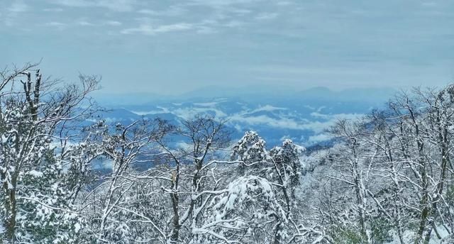  樱花@美惨了！这是洪雅的春天