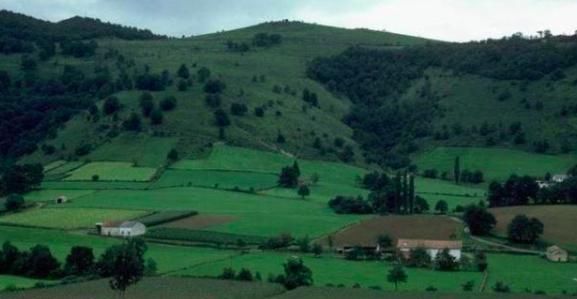  好处■为什么有些农村人喜欢把房子建造在公路两边，有什么好处