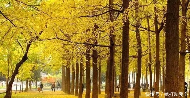 t01564ccd1c6d128c9e.jpg?size=630x327