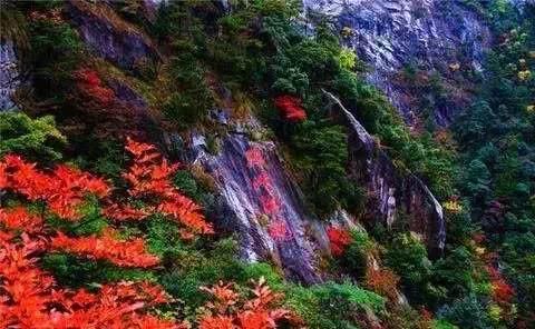 浙江不只有江南烟雨，这10个地方藏着浙江的绝美秋景