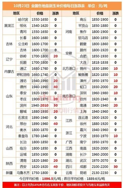 山东玉米终于突破1元/斤！11月东北玉米能否接着涨？