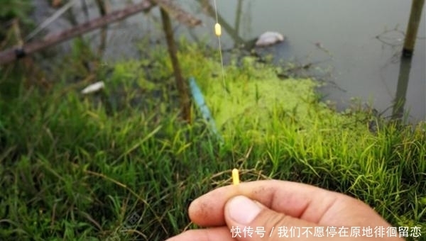 就可以|七星漂钓组的搭配和调漂要点,越是简单的钓组,越是有讲究!