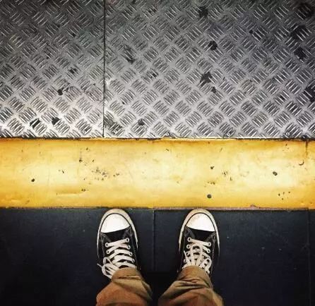 快乐百科流言粉碎机 | 比蓝鲸还长的动物，真的存在吗?