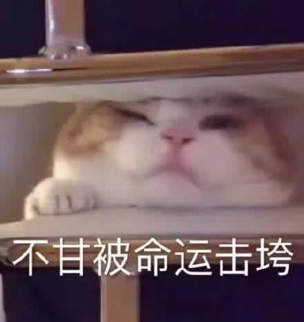  「张彦」“不务正业”！师范毕业做裁缝，把旗袍一改造直接上了纽约时装周