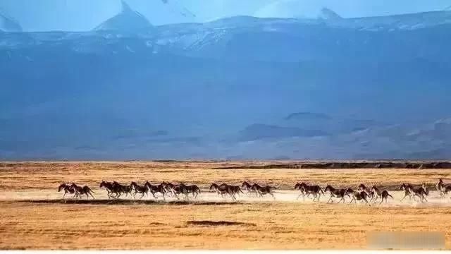  『绝美』中国神秘壮阔最美四大无人区，人迹罕至却景色绝美，你敢去吗？