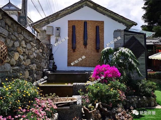 为啥我家的池塘不用循环系统也能清澈见底?原