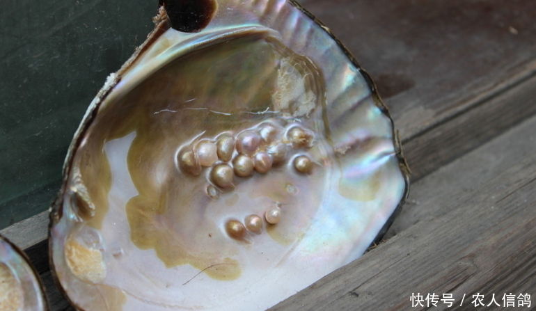 农村集市上出现新式“骗局”，农民以为赚了，老板却在背地里笑