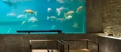  「从没」从没想过，室内鱼池也可以这么惊艳！