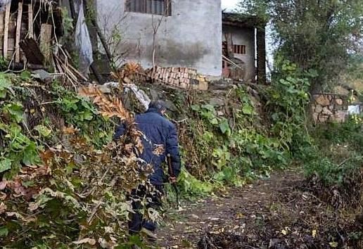  #老人#老人说“宁可借人一斗米，不愿借人半担柴”为啥柴不外借