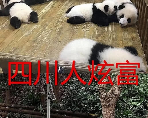 全国“炫富”大赛，四川江苏都不算啥，图4才是最强王者