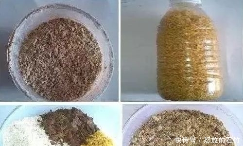玉米■第一次公开!诱鲫鱼最快的窝料配方,用了7年屡试不爽!