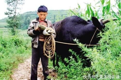 2019年3种人福利来了，一次性申请6000元补贴，希望有你