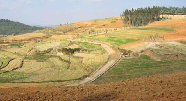  空置：农村土地“新规定”，土地荒废、房屋空置，有这三项处理