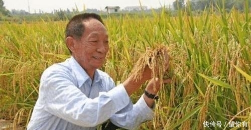  #中国#都是人口大国，为何印度向全世界出口大米，而中国要满世界买大米