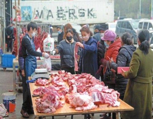  「猪肉价格」想吃便宜猪肉还要再等等