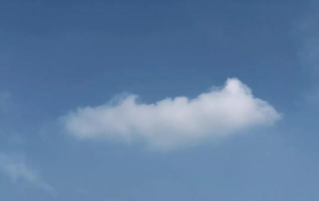 十一月,家里的植物