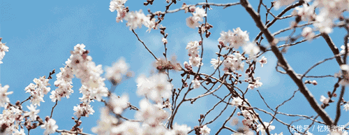  [开满]三月流行“开满花的衣服”，把春意盎然穿身上，与大自然融为一体