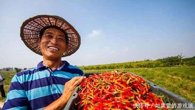 过年一个月，“返乡潮”又起，农村这些行业要火，赚钱机会来了