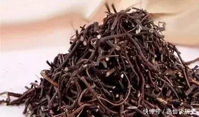 治痛风降尿酸, 你可能只需要一味中药!