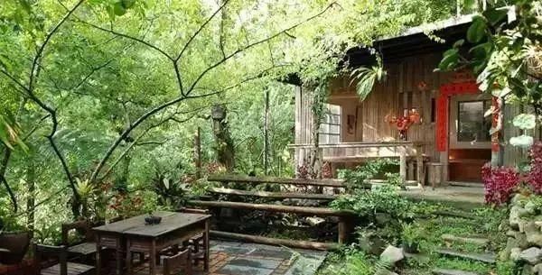  「小院」理想中的乡村小院