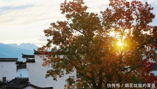 9月来袭!彩林红叶齐绽放,快让国内这6个地方承包整个秋天