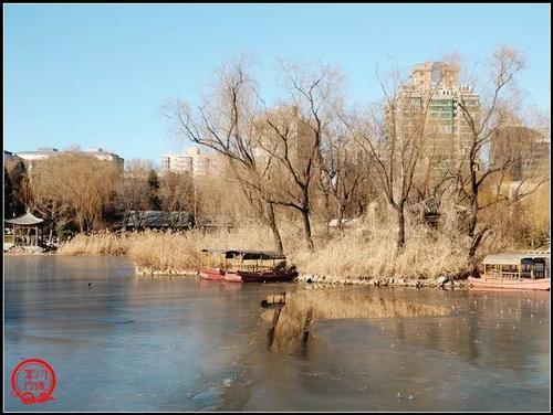 北京市内唯一一座具有田园风光的山村野趣公园，四头猪在路旁应景