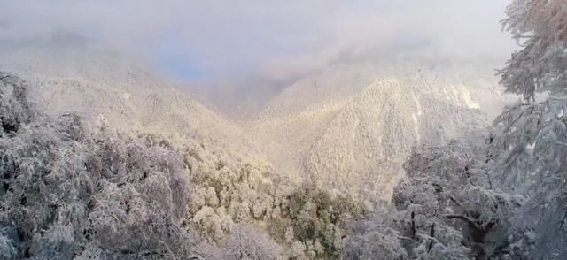 古诗配雪景，最美冬天就在黑竹沟！