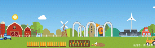 一位资深导游眼中的崇明变迁!