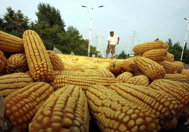  「事实」70后的农民，如果不想晚景凄惨，那就要认清三个事实