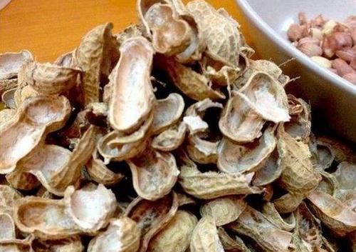  【地好】养花不用买土，花生皮发酵30天，加点园土，肥效“嘎嘎”地好