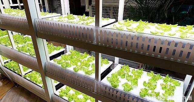  【返乡创业】返乡创业热潮来了，国家大力扶持，这几个项目未来