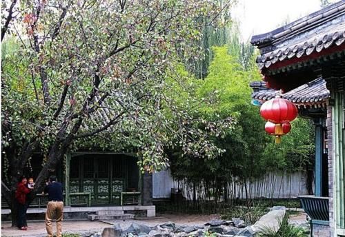  冻死■“三九四九冻死老狗”，哪个“九”最冷？春节冷不冷？答