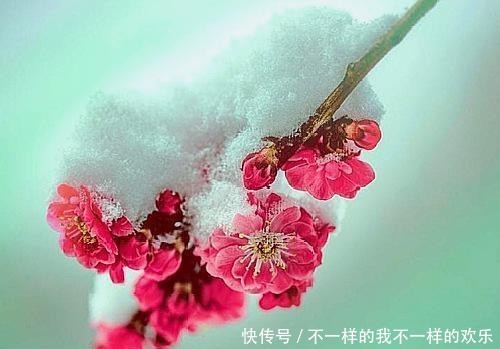 仄仄仄平平@一帘幽梦念往事,四季情思意阑珊;孤馆深沉夜,心事向谁言